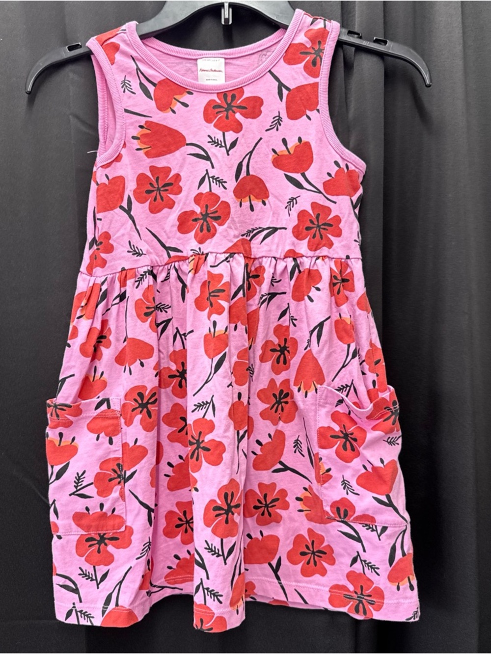 Hanna Andersson Pink Dress with Red Floral Pattern